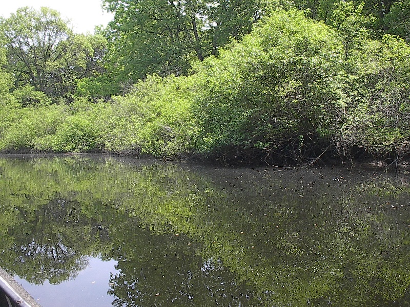 More shore cover near Oxford